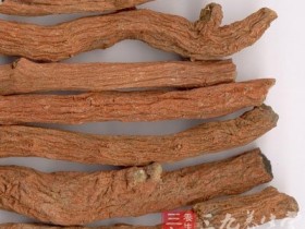 生脉散加味治疗心绞痛二例