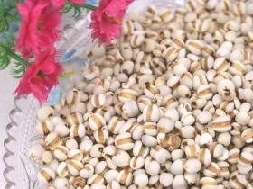 千金苇茎汤合瘀热汤化裁治疗肺痈一例