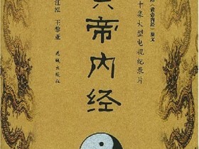 徐文兵：黄帝内经上古天真论，徐文兵讲内经文档下载