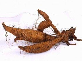 葛根汤合半夏厚朴汤加生石膏治疗刚痉一例