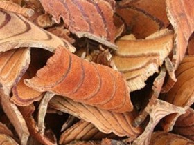 补血通络法治疗尿毒症周围神经病变的中医临床经验