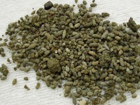 8种可入中药的动物粪便