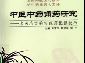 《中医中药角药研究：名医名方验方组药配伍技巧》