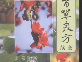 《潮汕百草良方续全》