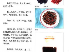 补肾壮阳药酒配方大全