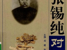 《张锡纯对药》