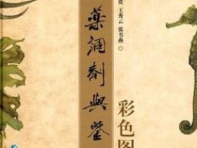 《中药调剂与鉴别彩色图谱》