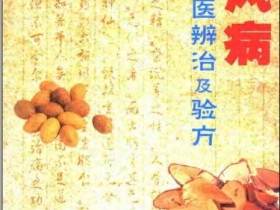 《中风病中医辨治及验方》