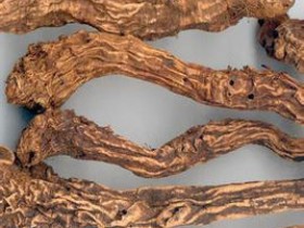 射干麻黄汤汤头歌诀，加减运用