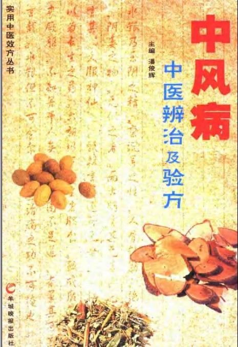 中风病中医辨治及验方