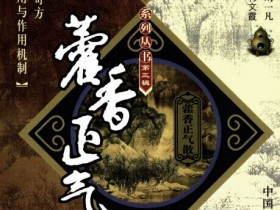 《藿香正气散》