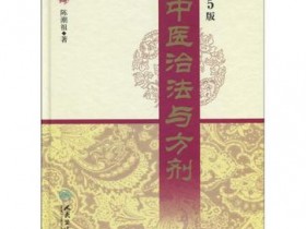 《陈潮祖中医治法与方剂》