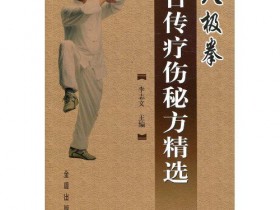 《八极拳古传疗伤秘方精选》