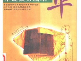 《中国医术名家精华丛书：中医组方精华》