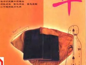 《中国医术名家精华丛书：中医用药精华》