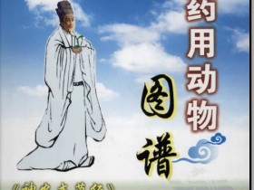 《鲜药用动物图谱》