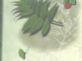 《抗癌植物药及其验方》