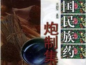 《中国民族药炮制集成》