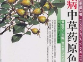 《妇科病中草药原色图谱》