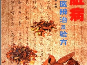 《肾脏病中医辨治及验方》