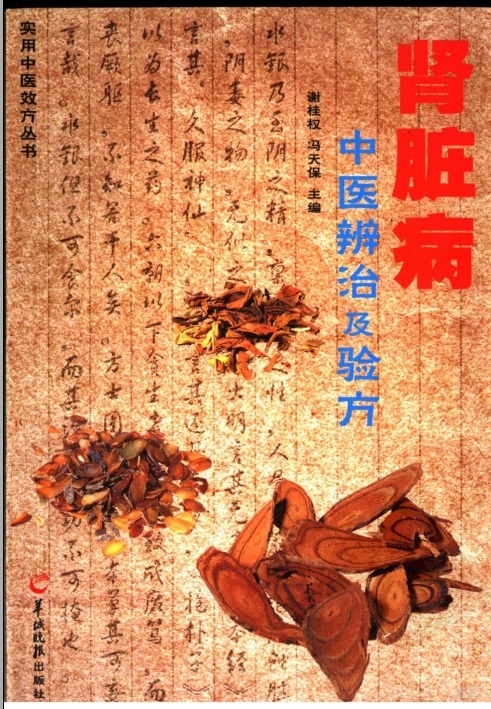 肾脏病中医辨治及验方