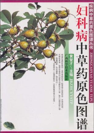 妇科病中草药原色图谱