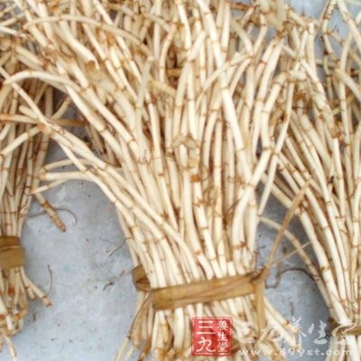 取鱼腥草25g，切碎，置圆底烧瓶中，加水250ml，连接挥发油测定器