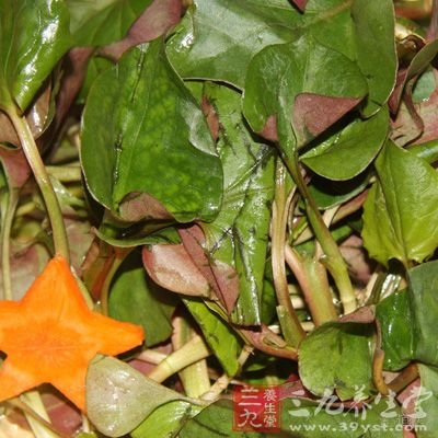 鱼腥草入药，中医认为其味辛、性寒凉