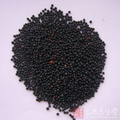 《纲目》：阳明、冲、任