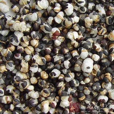 对脓肿及蜂窝织炎采取王不留行鲜叶捣碎外敷有消炎散肿作用