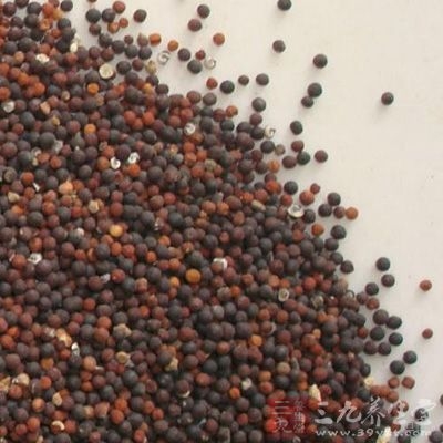 王不留行子为末