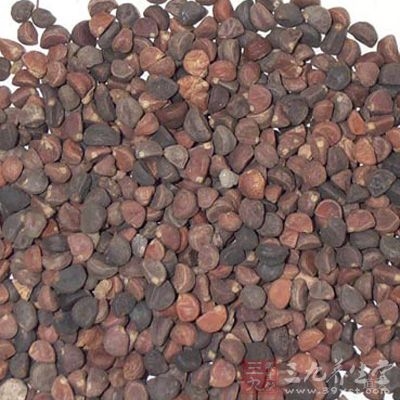 王不留行水剂对大白鼠子宫有收缩作用