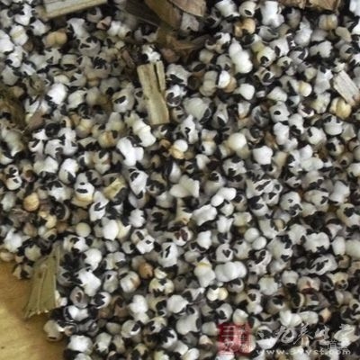 材料：王不留行