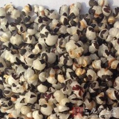 适量的王不留行