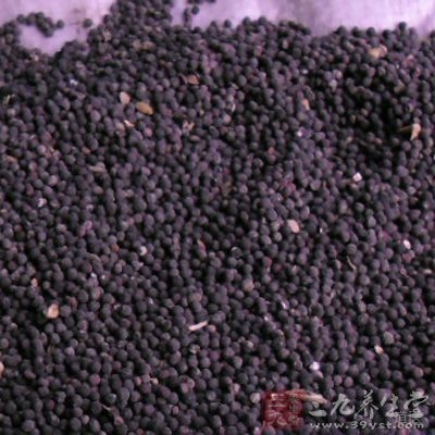 王不留行散治痈肿