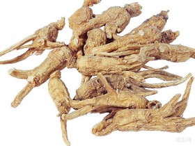 当归生姜羊肉汤的功效与食疗价值