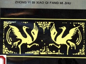 《当代中医必效奇方秘术》