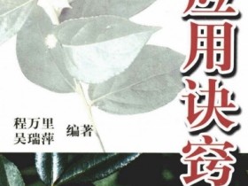 《中药应用诀窍》