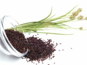 老人青光眼，老花眼，白内障吃什么好？推荐几款食疗方