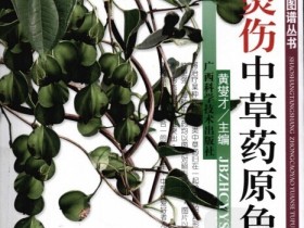 《烧伤烫伤中草药原色图谱》