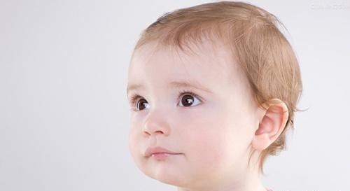 小棘苔藓的偏方 小棘苔藓的偏方