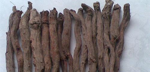 子宫肌瘤的偏方