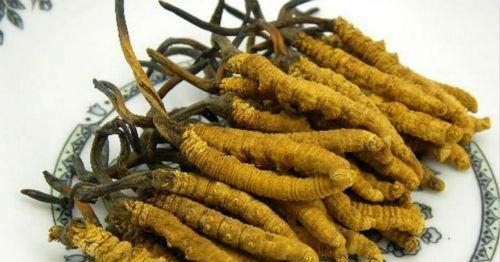 肠结核的偏方 肠结核的偏方