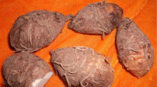 寒湿困脾的偏方 寒湿困脾的偏方