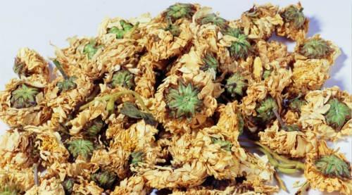 干眼的偏方 干眼的偏方