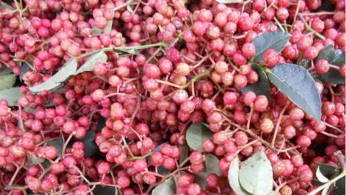 鼾症的偏方 鼾症的偏方