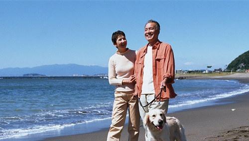 桥脑梗塞的偏方 