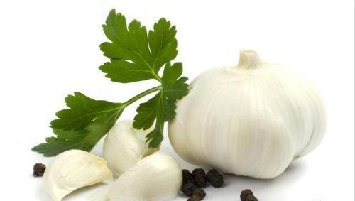 弓形体病的偏方 弓形体病的偏方