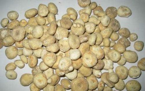 脑囊虫病的偏方