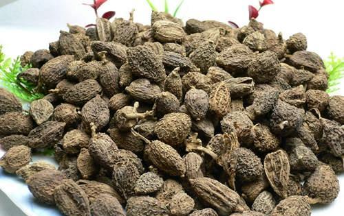 口苦的偏方 口苦的偏方